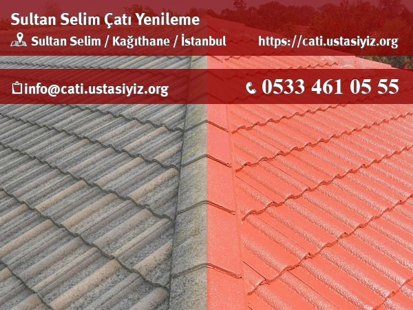 Sultan Selim çatı yenileme, çatı ustası